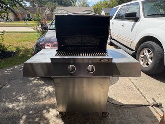 VII Stainless Steel 2-Burner Gas Grill