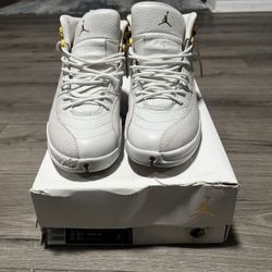 Jordan 12 OVO