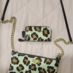 Coach Bag & Wallet 
