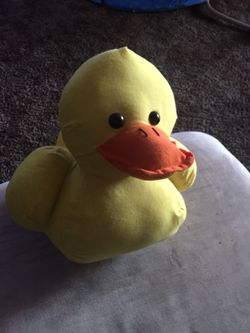 Signature duck