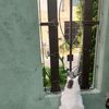 Eduardo