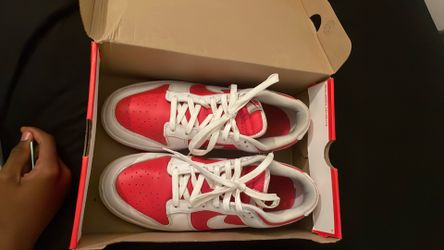 Nike Championship dunks