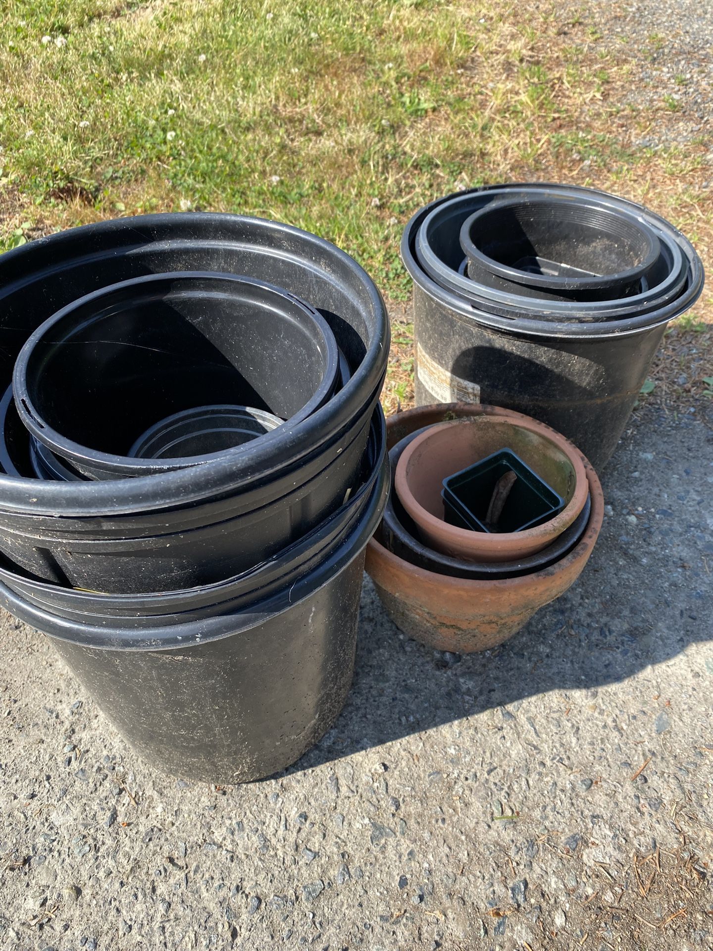 FREE Planter Pots!