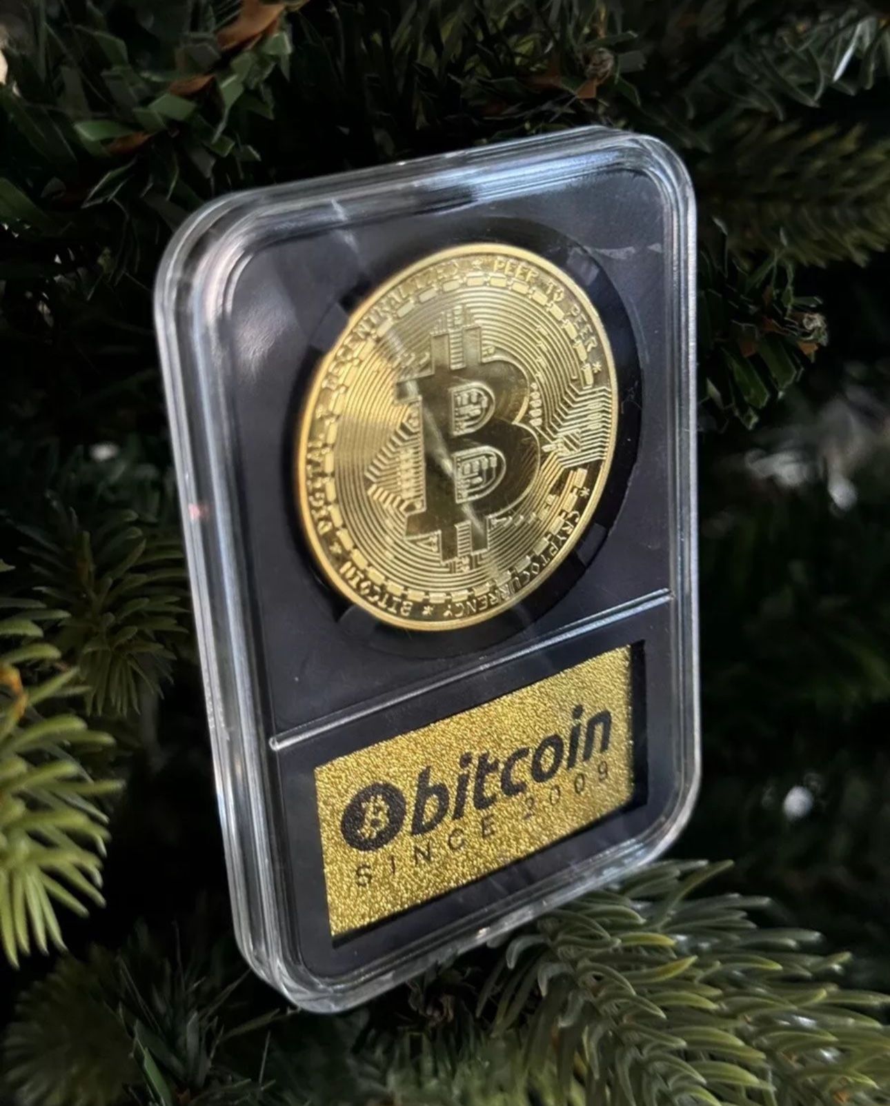 2 Pcs Bitcoin Physical Coin Golden Color In Protective Case