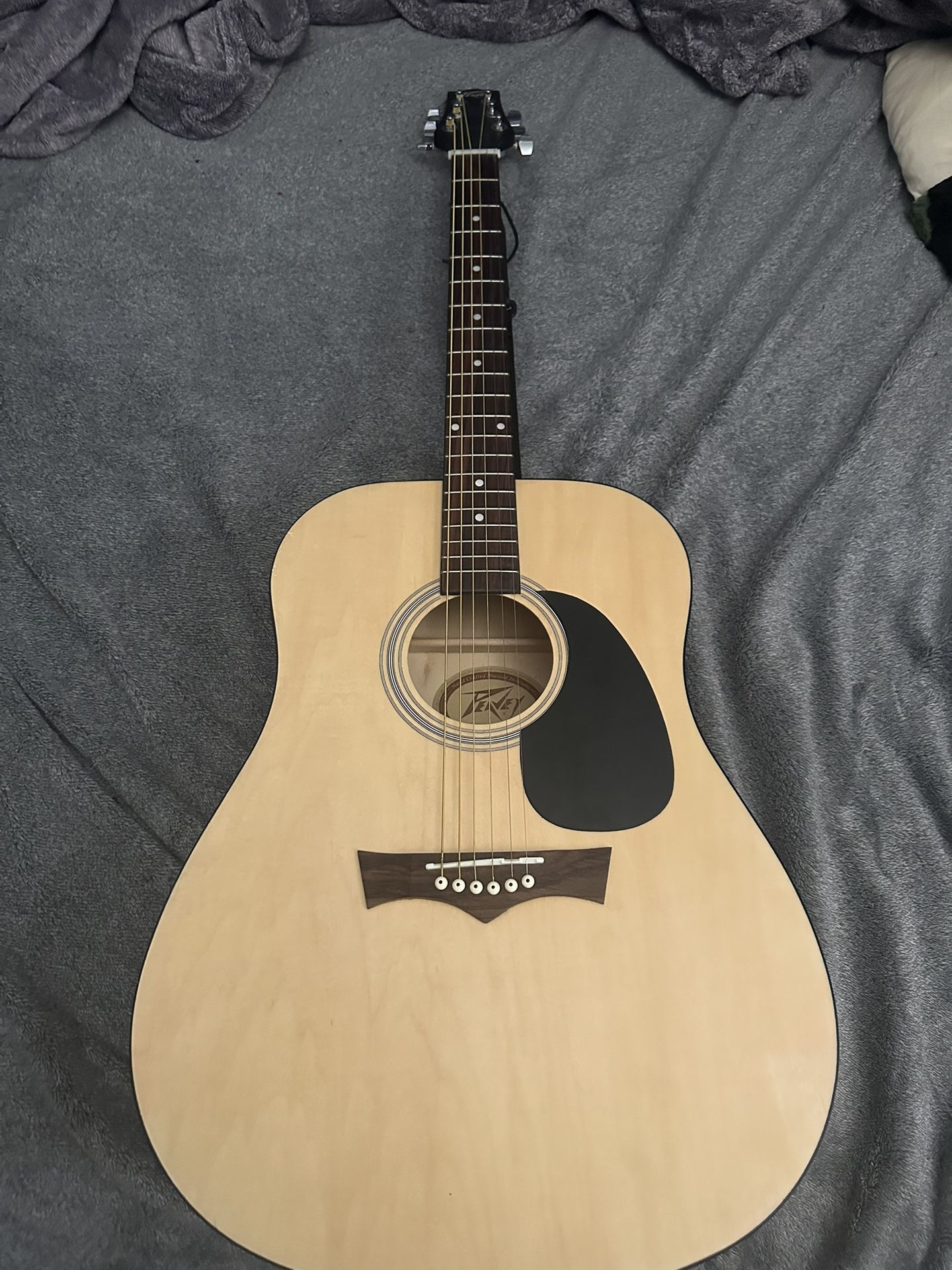 Peavey Acoustic Guitar
