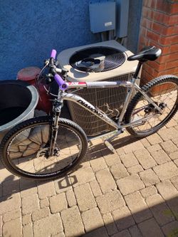 Mountain Bike