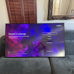 Vizio 65” Smart TV