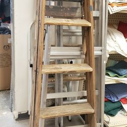 5 Foot Ladder 