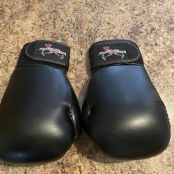 Kick Boxing Gloves