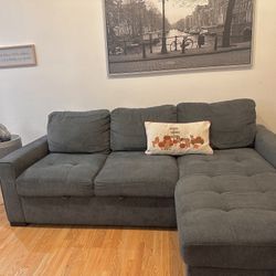 Couch With Storage (Bed Sleeper Pull Out 2in 1) 