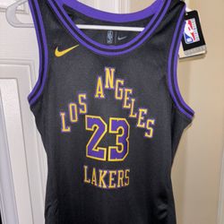 Nike Lebron James Lakers Swingman Jersey