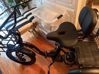 Eskute Electric Tricycle Fat Tire E-Trike