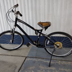 Mountain/ Beach Cruiser 