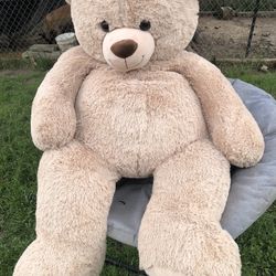 5 Ft Tall Teddy Bear