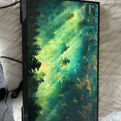 Samsung Gaming Monitor