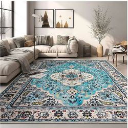 Area Rug