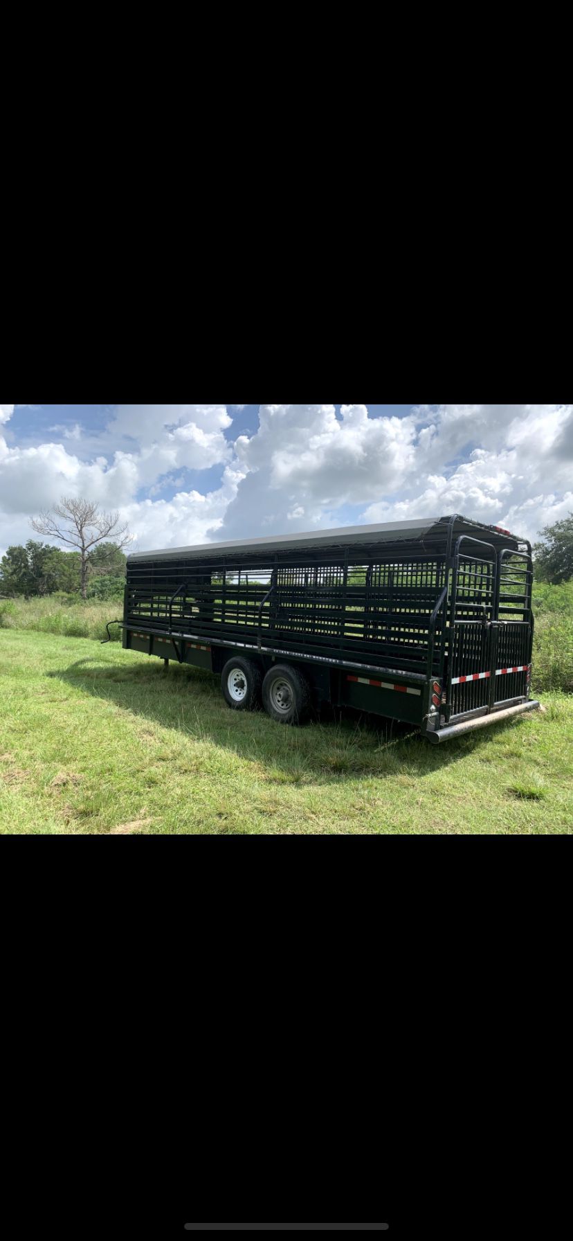 Gooseneck Livestock horse trailer