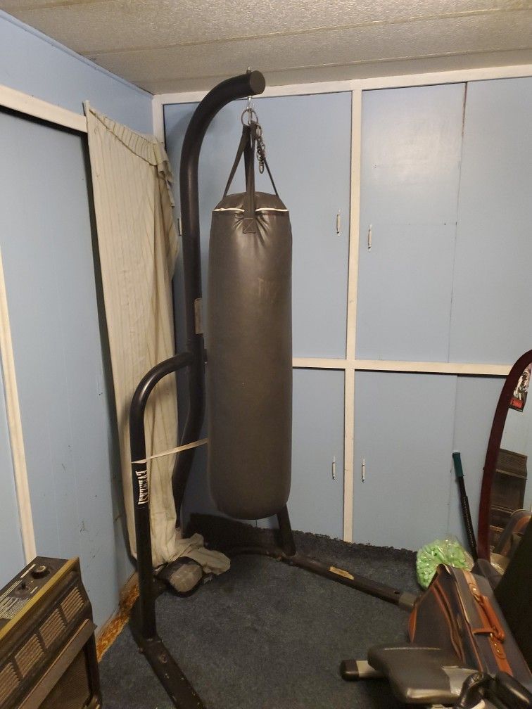 Everlast Punching Bag