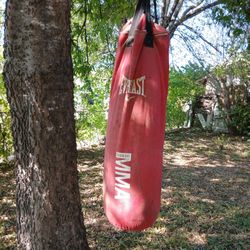 Punching Bag