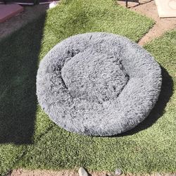 Large Dog Bed