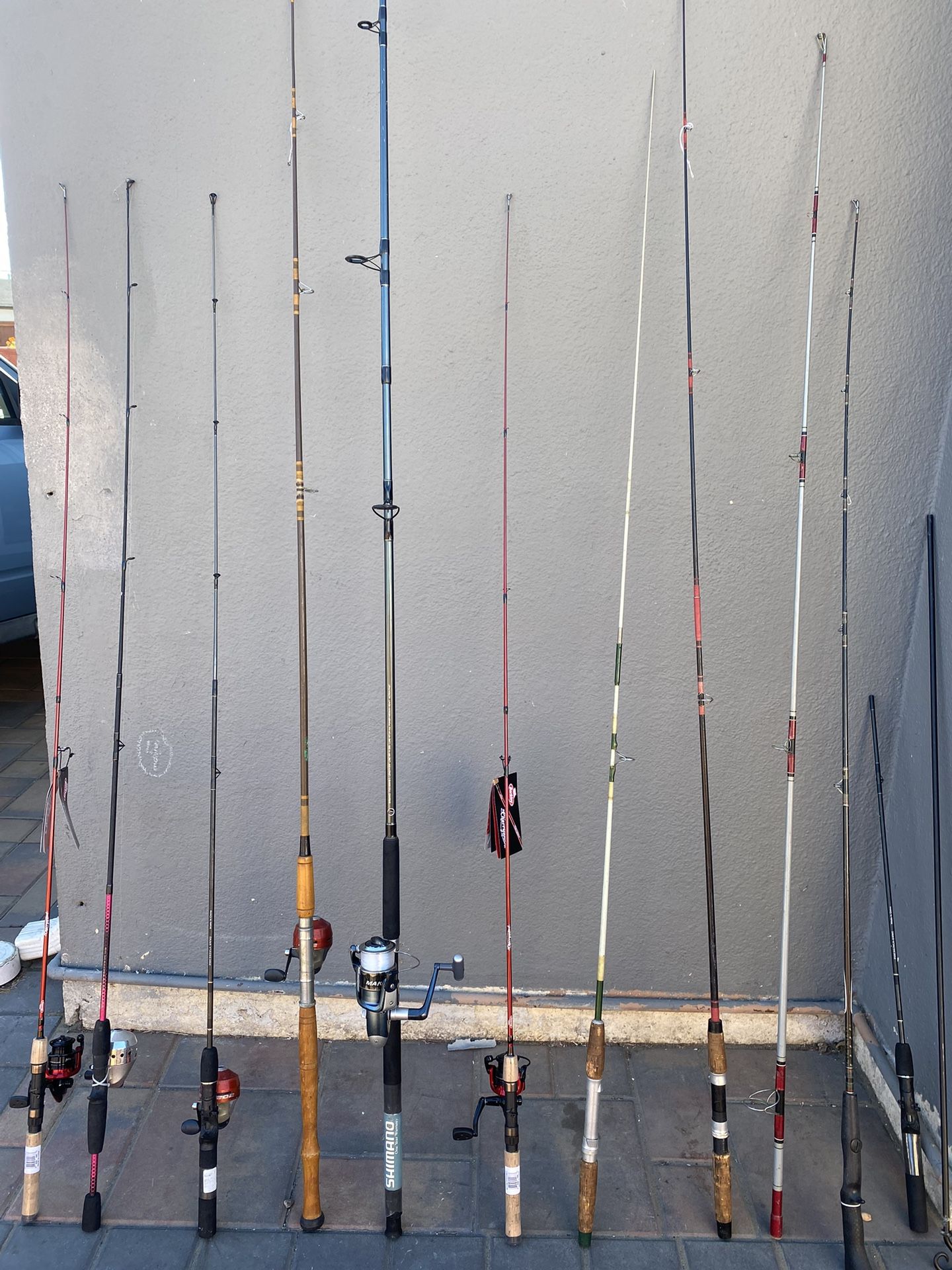 Striper,halibut Rod And Reel Combo