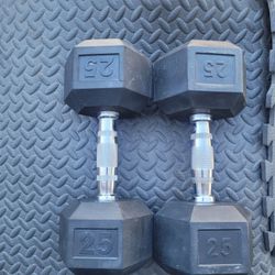 25lbs Dumbells Weights