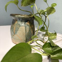 Vintage Artist Signed Handmade Pot With Indoor Trailing Pothos Plant, Pothos Potted House Plant Over 15” L
