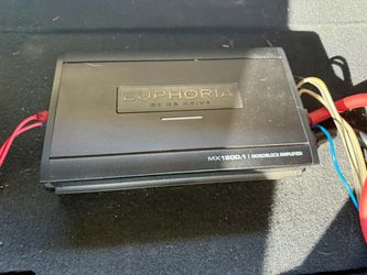 Euphoria Amp and Audiobahn subwoofers