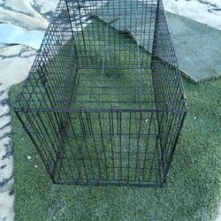 Dog Kennel 
