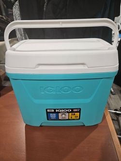 Igloo Laguna 28 Quart Cooler