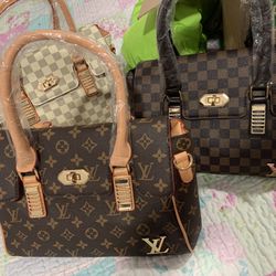 Hermosas Carteras $80 
