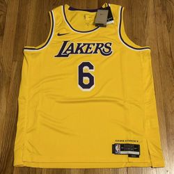 Nike NBA LA Lakers Icon Edition LeBron James #6 Jersey Men's XL & XXL NWT