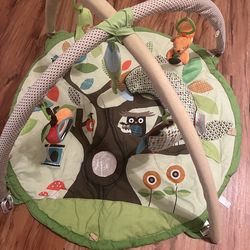 Skip Hop Baby Play Gym