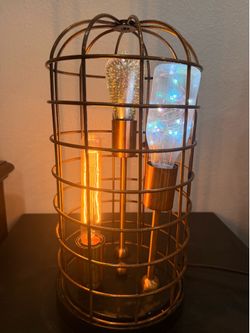 Vintage Caged Dome Shade, Metal Frame, Classic Gold