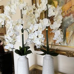 Very  Beautiful 2 flowers