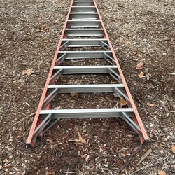 Ladder 12 Foot