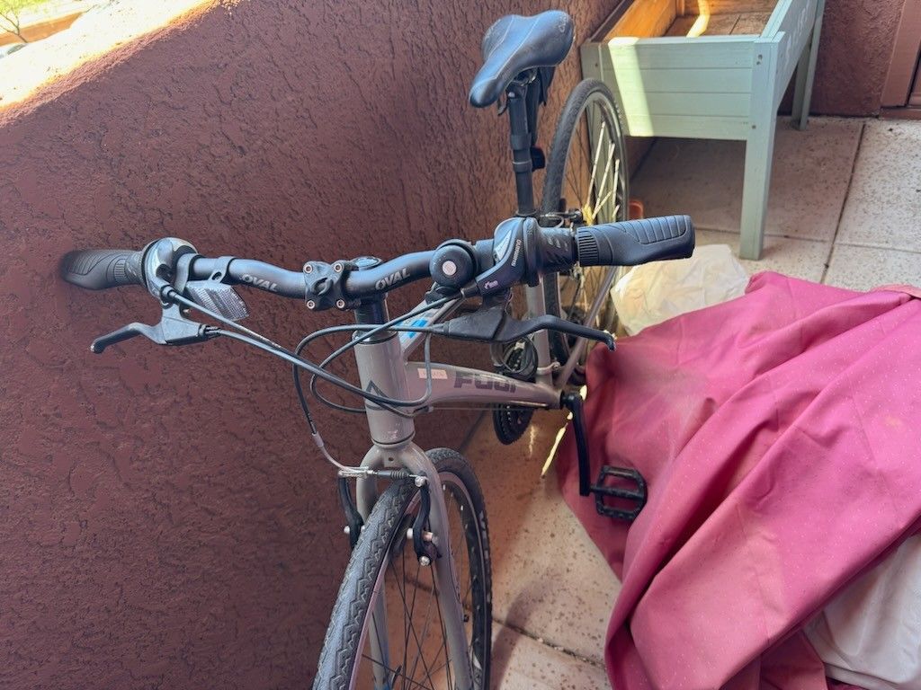 Fuji Hybrid Bike