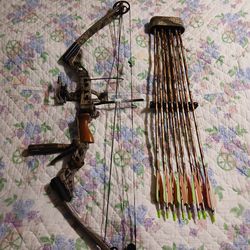 PSE Durango compound bow