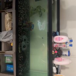 75 Gallon Fish Tank