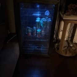 Euhomy Mini Fridge 