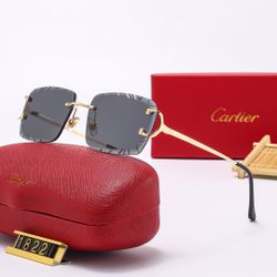 Sunglasses 