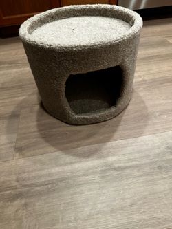 Cat or kitten house and bed