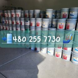 Paint And Primer 