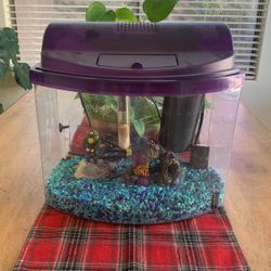 Small Plastic Fish Tank, Purple