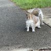 TU2G