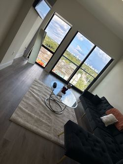 Couch and Rug