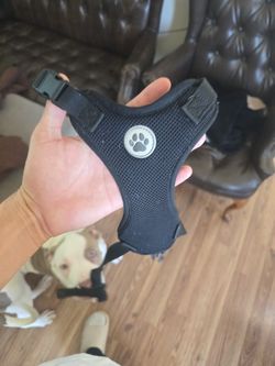 Dog Vest