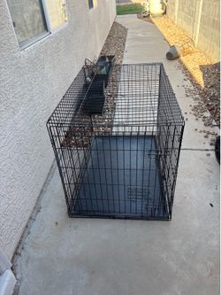 Cage for full size dog
