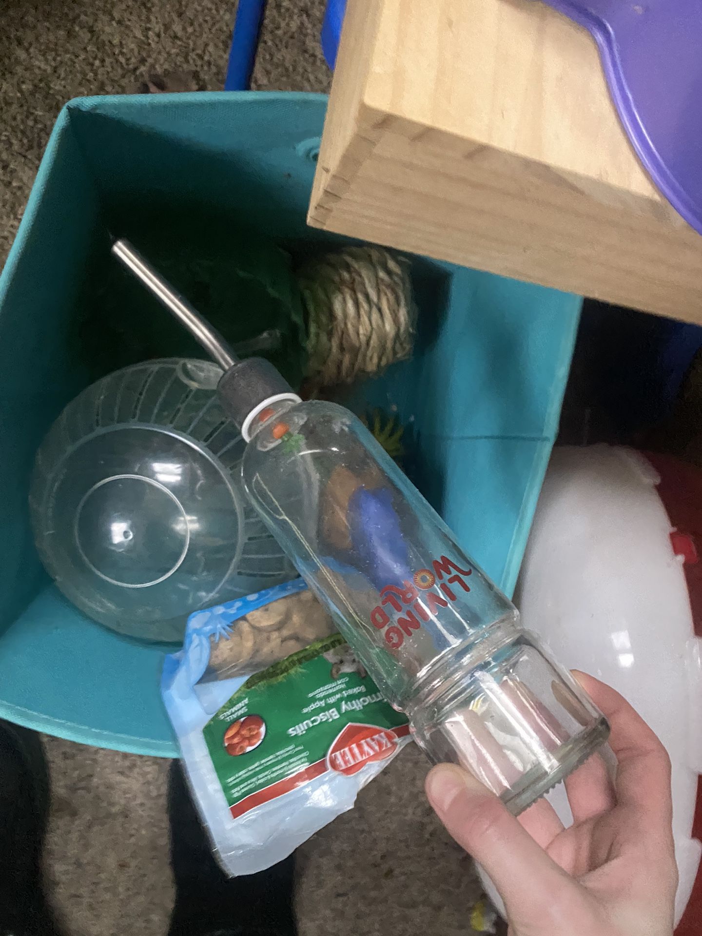 Hamster Supplies