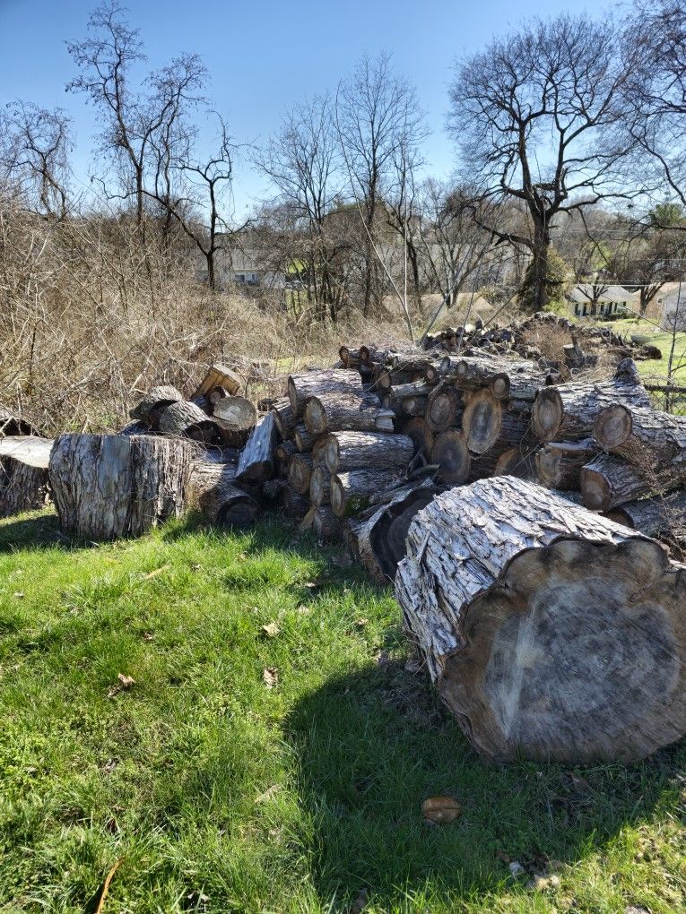 FREE WOOD